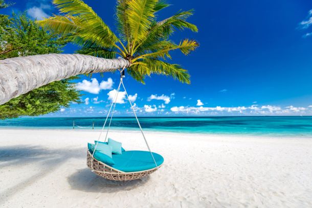 Swing from palm tree on beach
